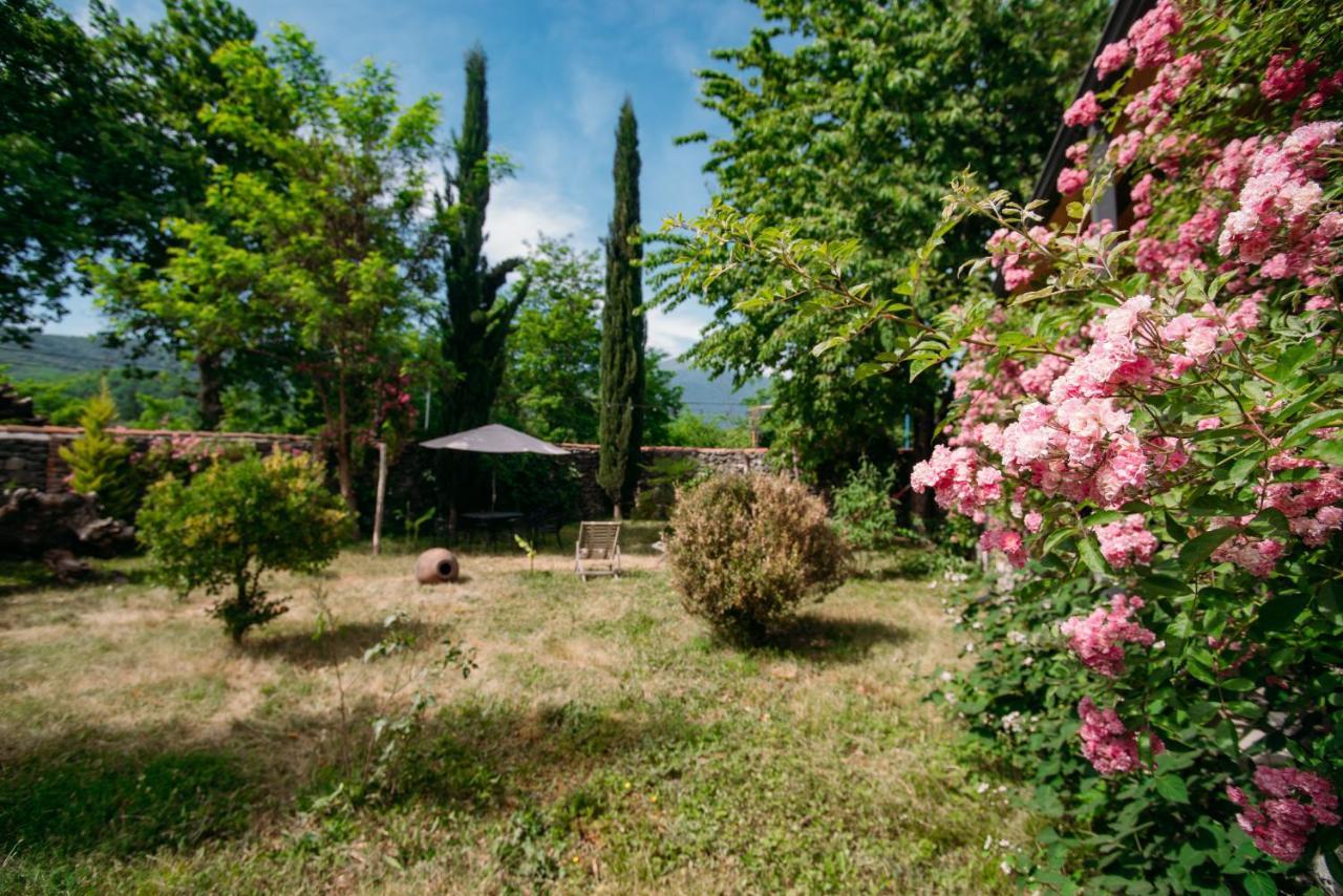 Chateau 3* Eniseli